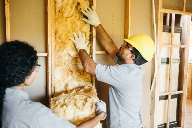 Best Basement Insulation  in USA